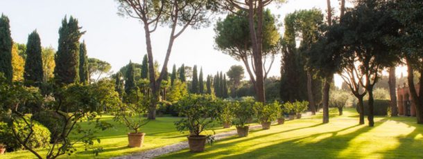 Celebrate Your Wedding In The Middle of The Pines