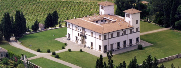 In A Land Of Vineyards, Olive groves, Forests, and Beauty…